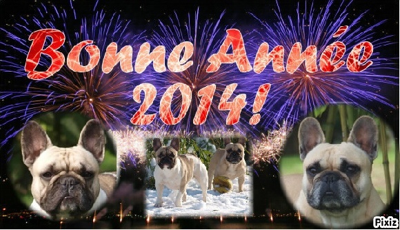Bonne Année 2014